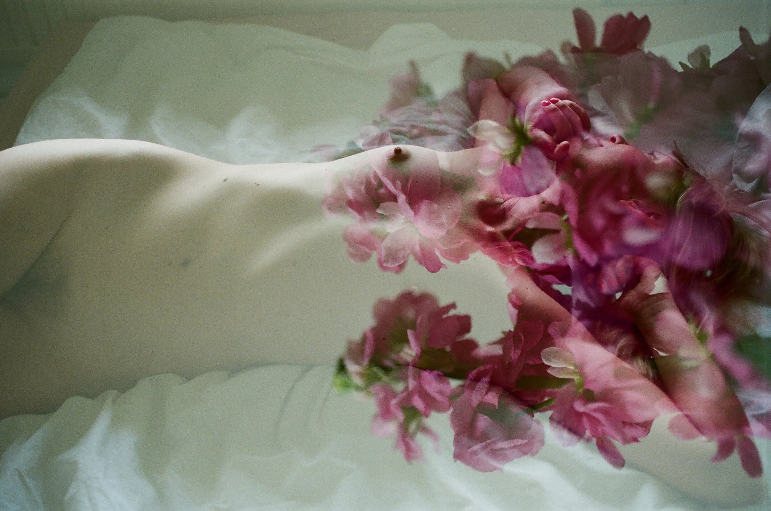 diary 2016 - 8 of 13.jpeg