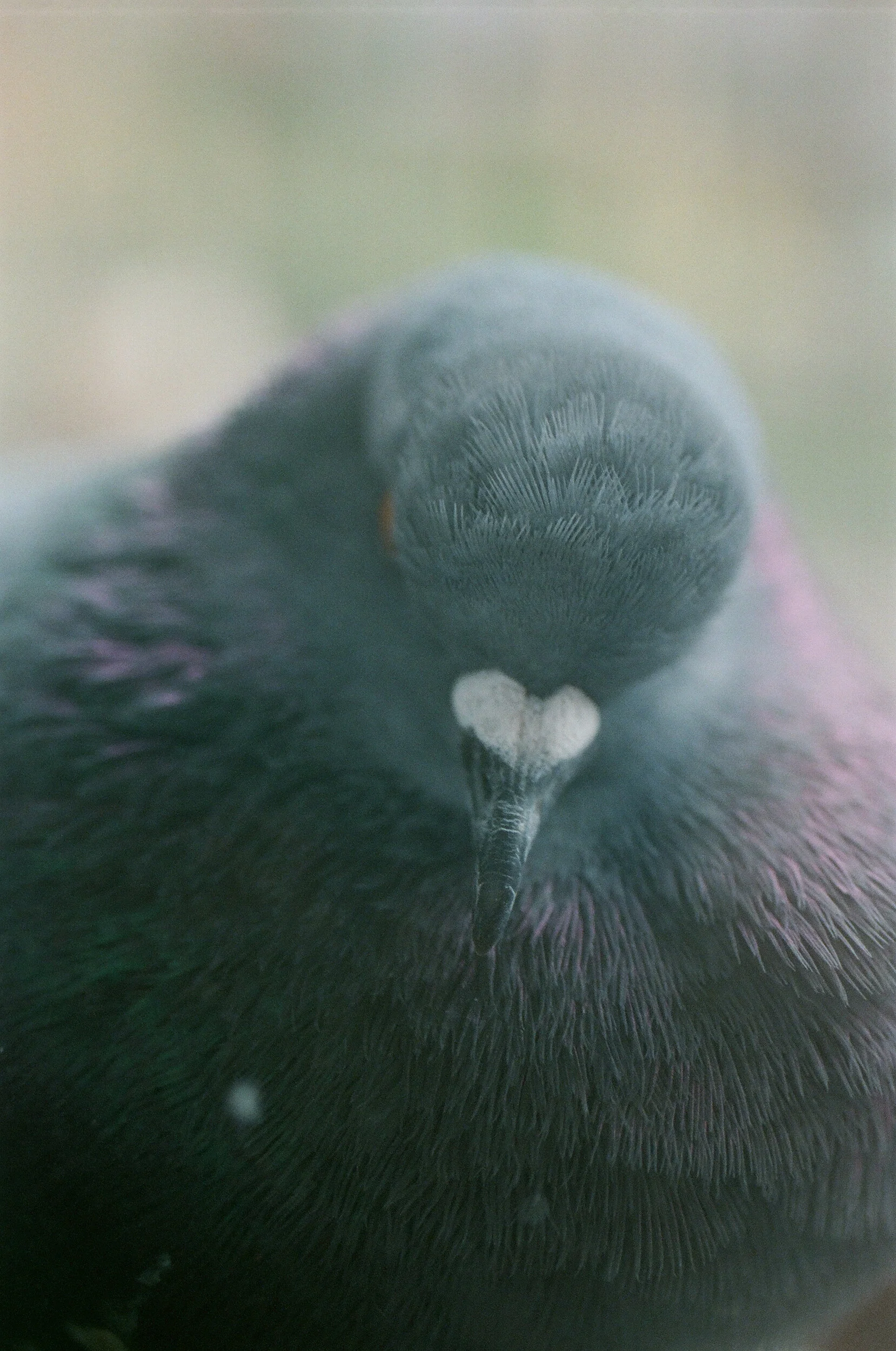 diary 2016 - 11 of 13.jpeg