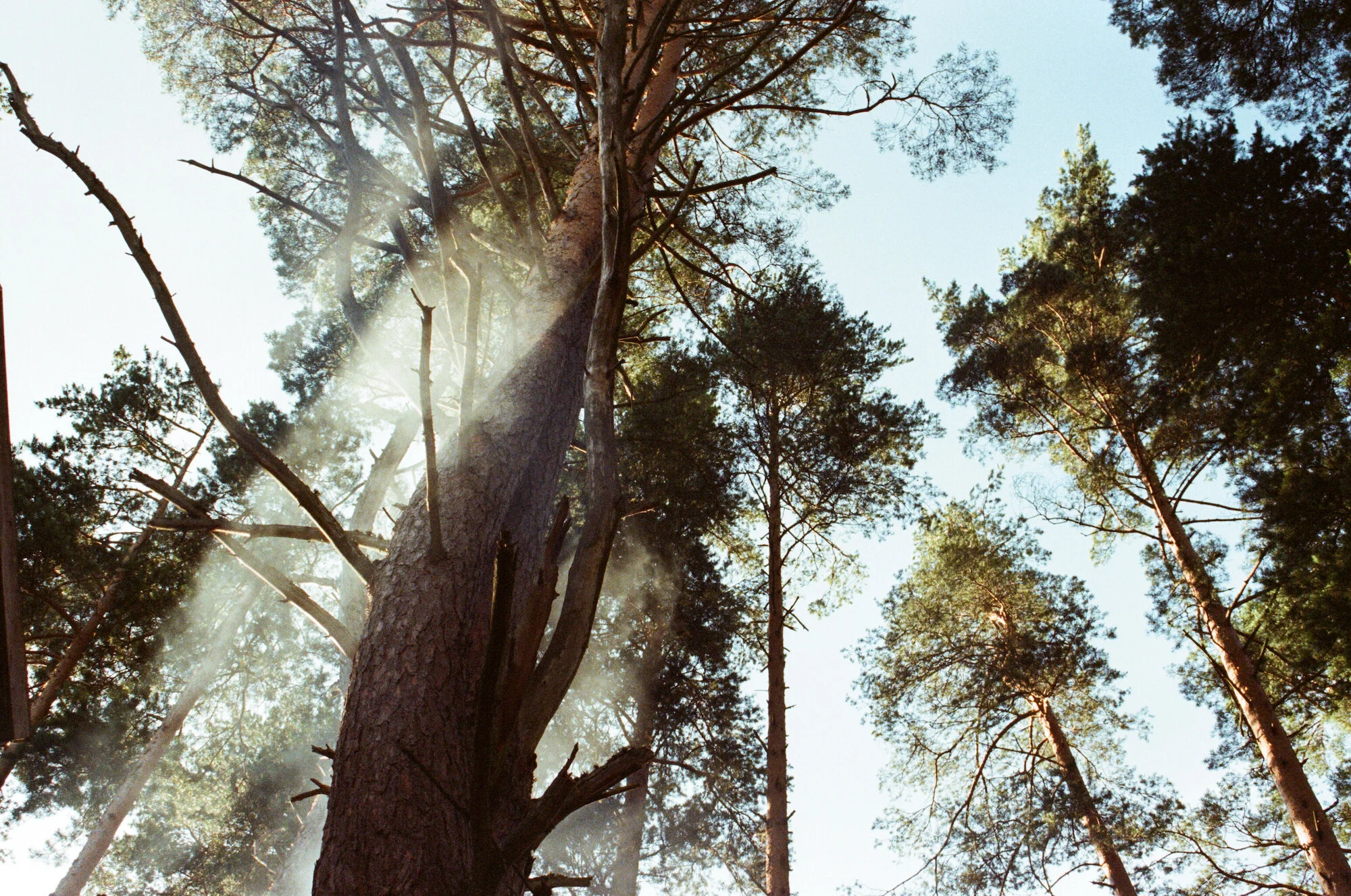 diary 2014 (summer in sweden) - 8 of 20.jpeg