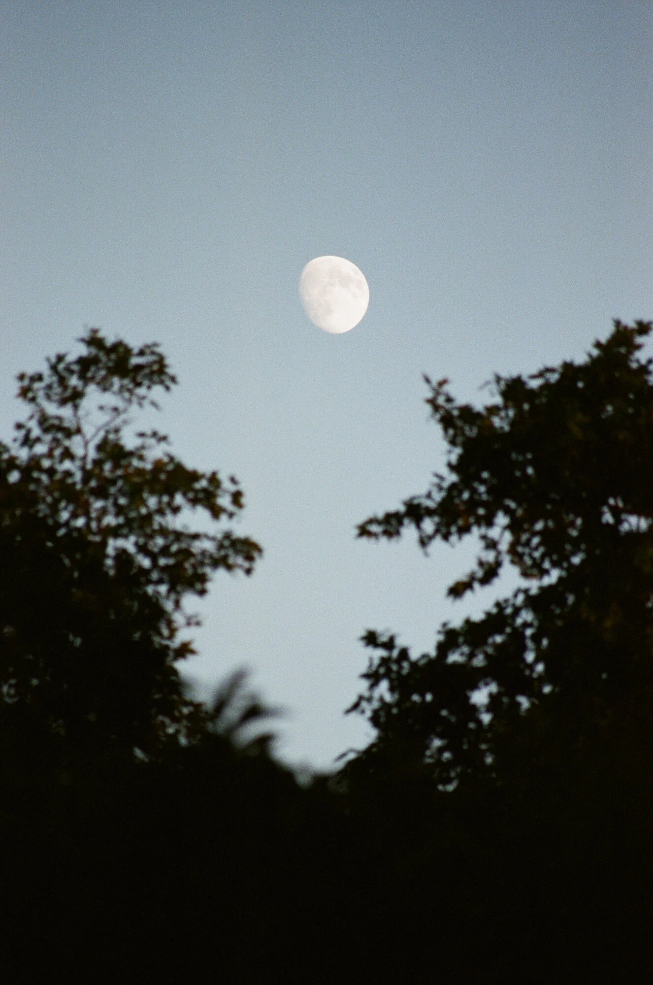 diary2013 - 8 of 18.jpeg