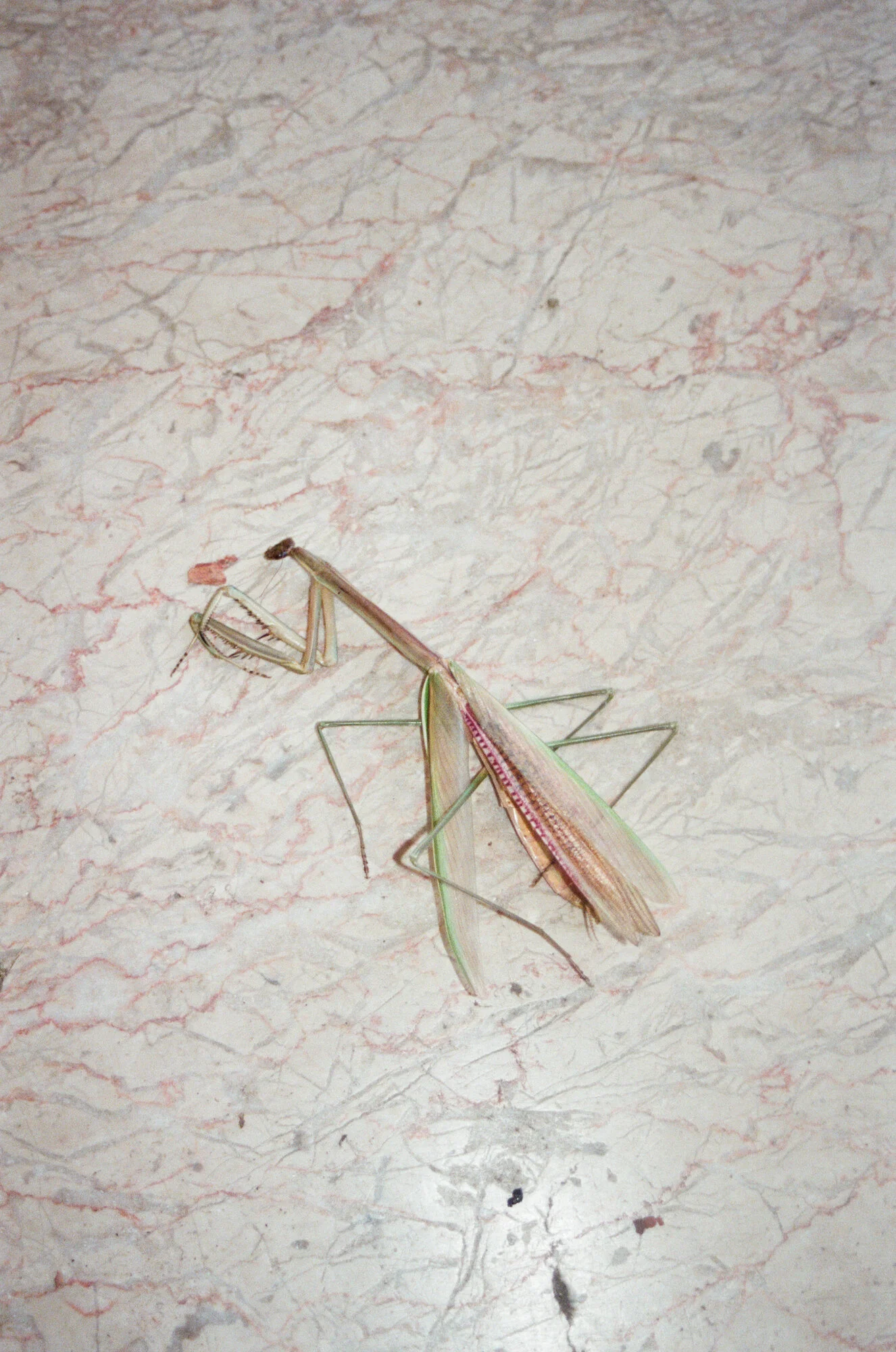 diary2013 - 12 of 18.jpeg