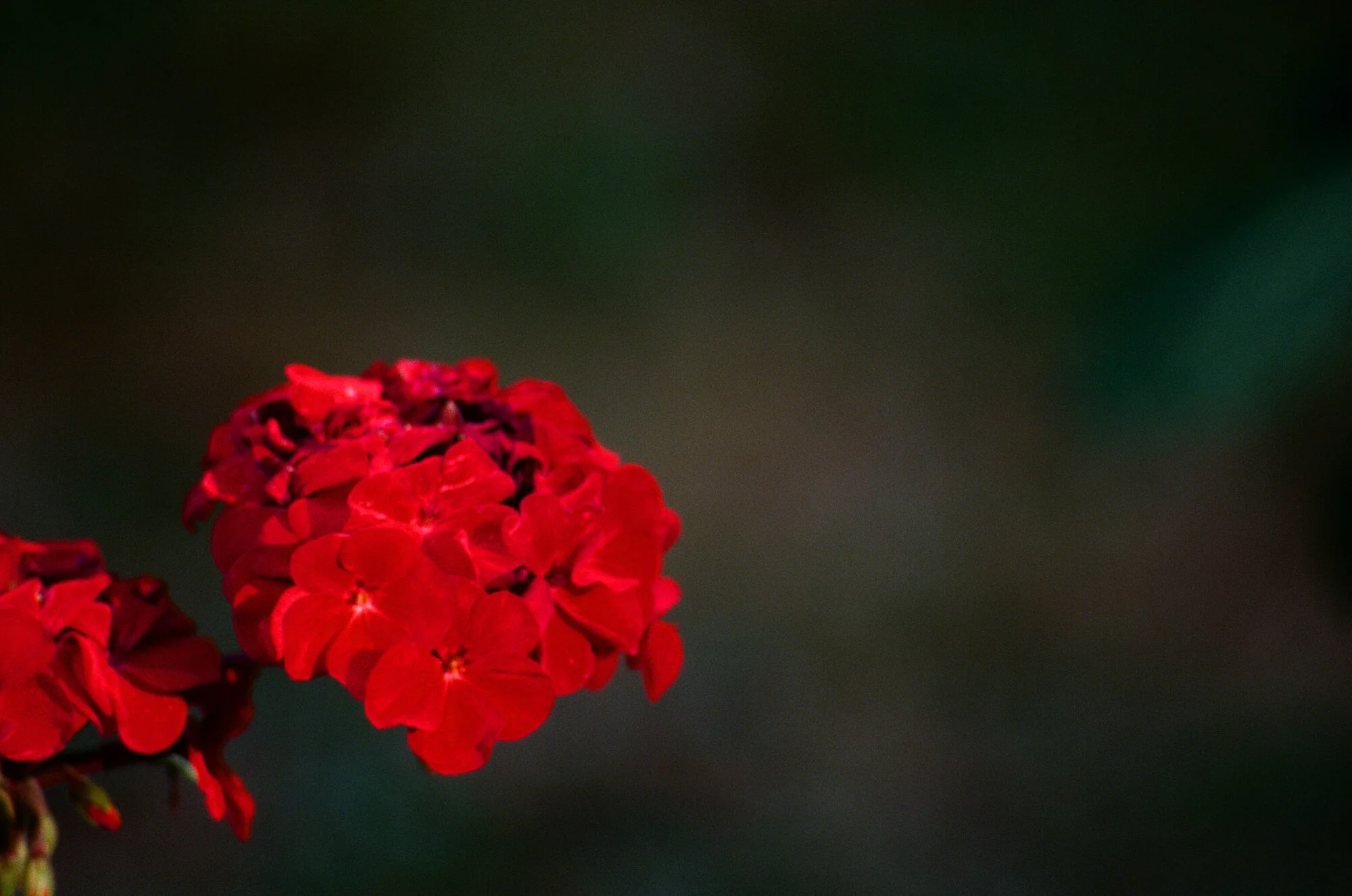 diary2013 - 16 of 18.jpeg