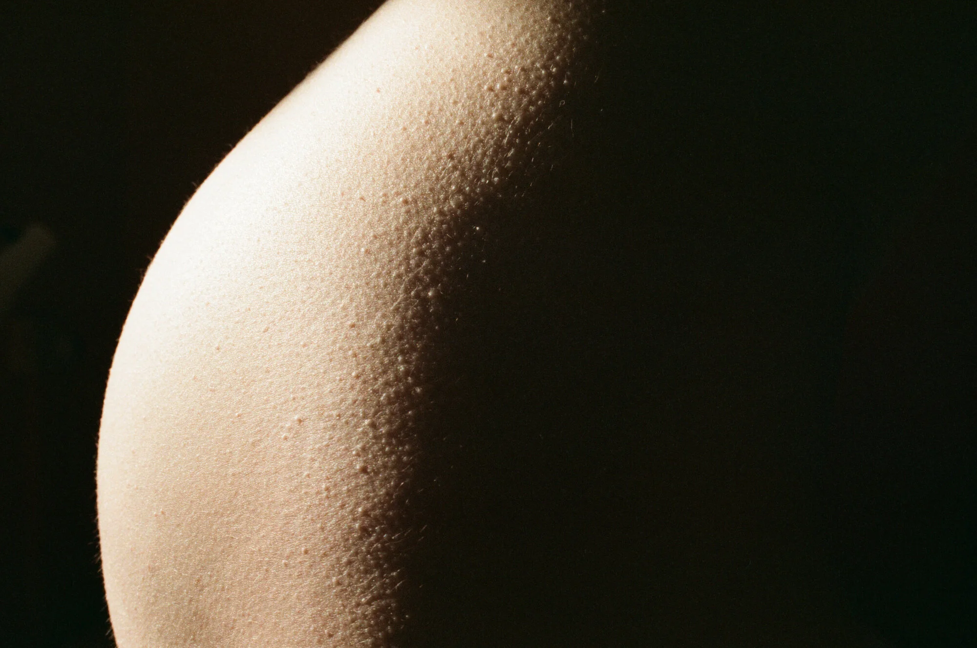 diary2012 - 8 of 13.jpeg