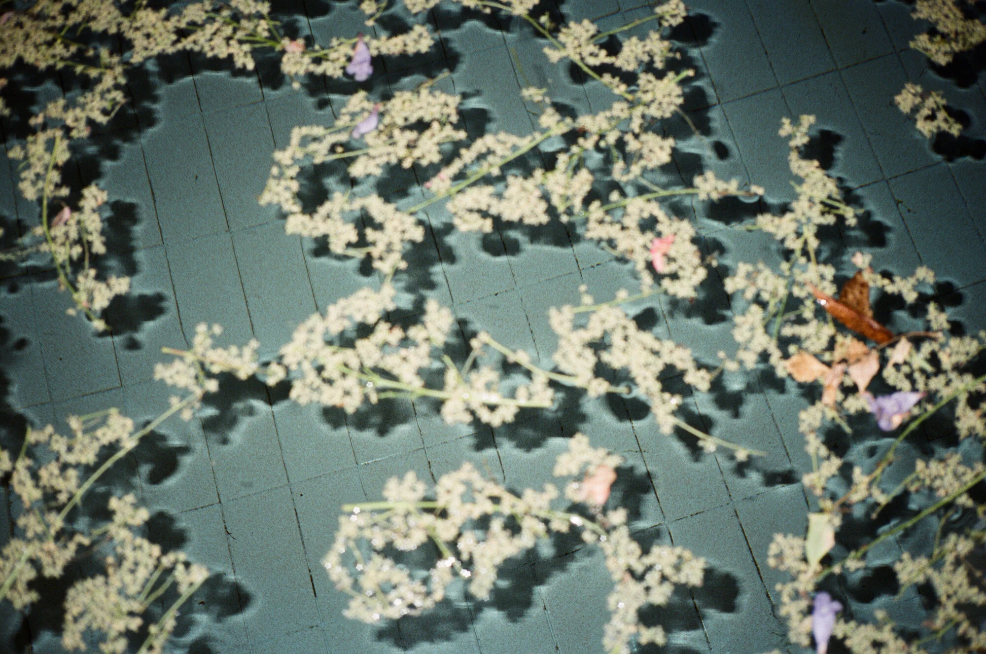 diary2012 - 12 of 13.jpeg