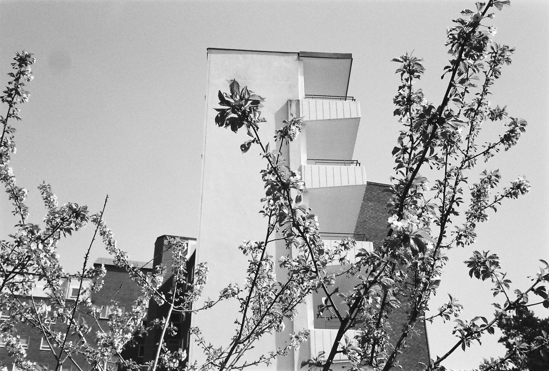 diary 2010 - 10 of 14.jpeg