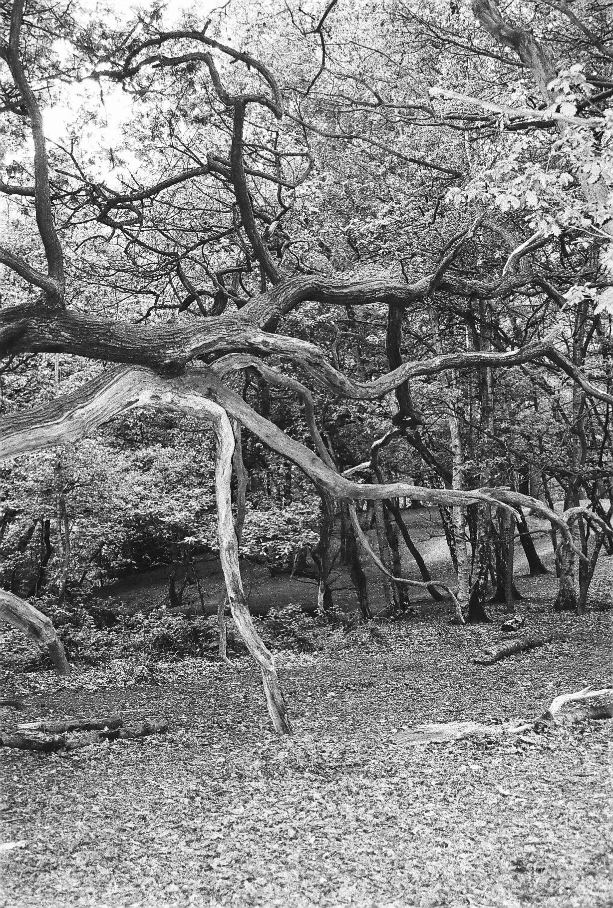 diary 2010 - 13 of 14.jpeg