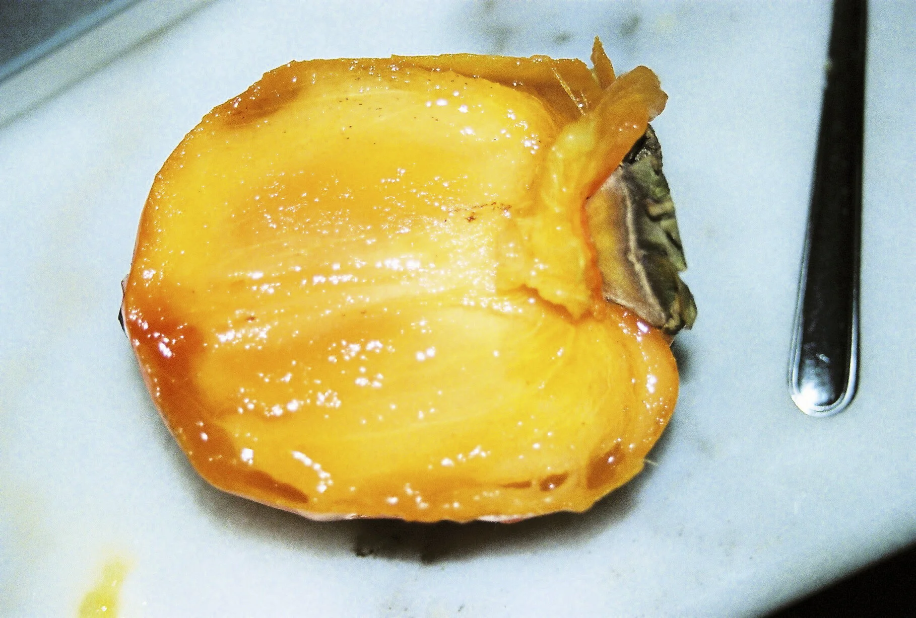 diary 2009  - 3 of 7.jpeg