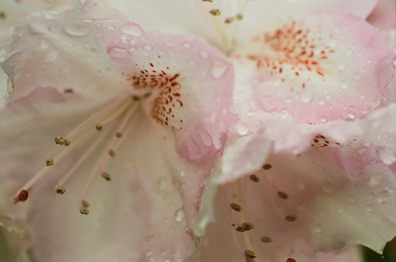 Lina_Scheynius_2019 - 7 of 24.jpeg