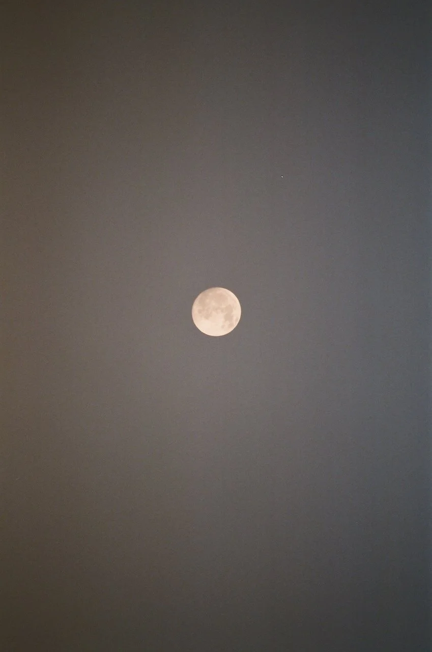 2020 copy - 9 of 19.jpeg