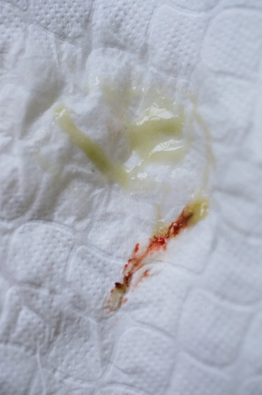 2020 copy - 14 of 19.jpeg