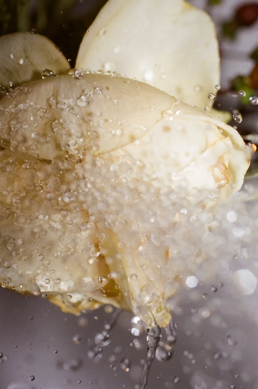 Lina_Scheynius_2021 photographs  - 12 of 35.jpeg