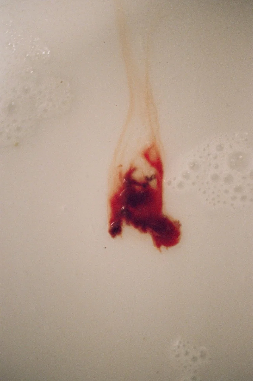 Lina_Scheynius_2021 photographs  - 24 of 35.jpeg