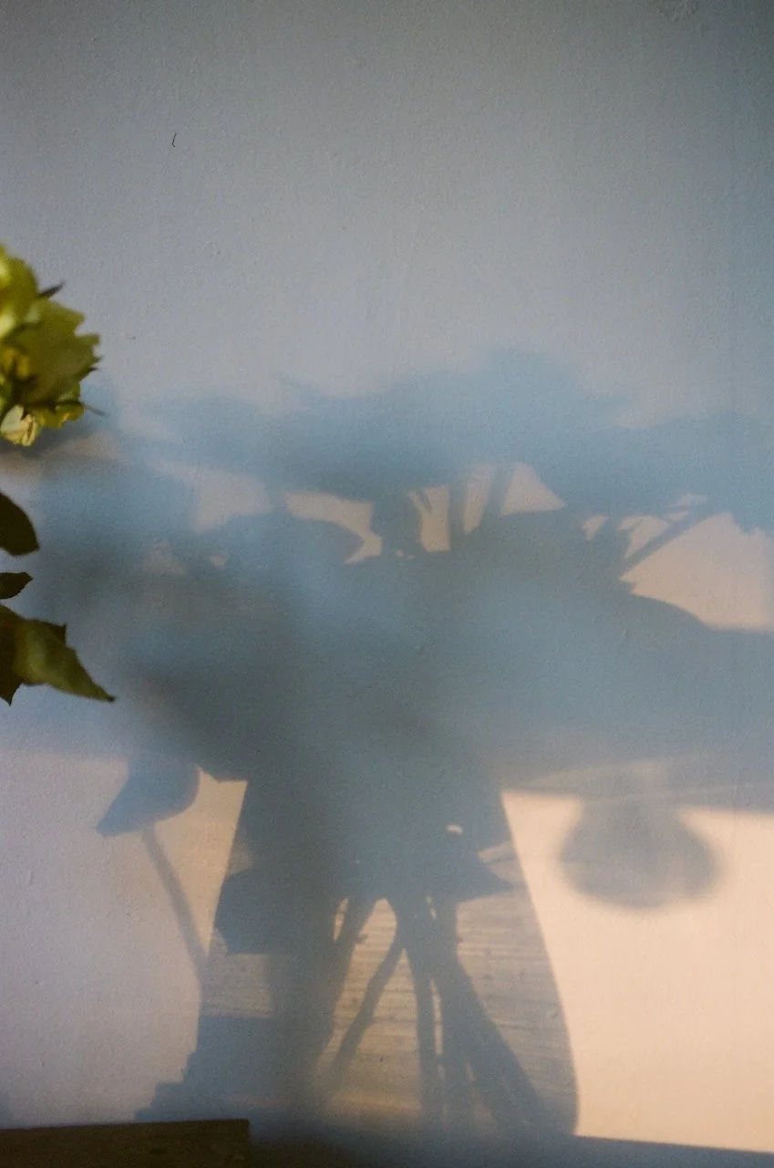 Lina_Scheynius_2021 photographs  - 28 of 35.jpeg