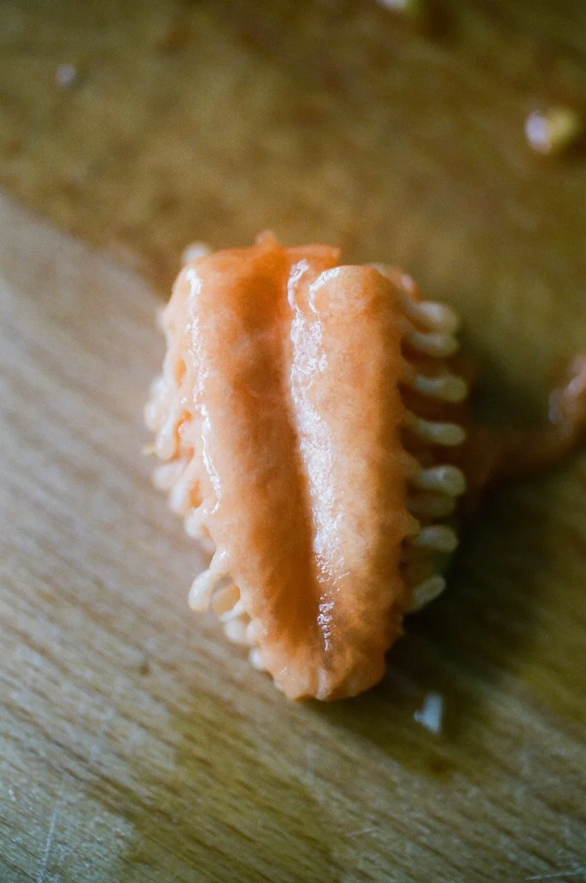 Lina_Scheynius_2020 - 1 of 1.jpeg