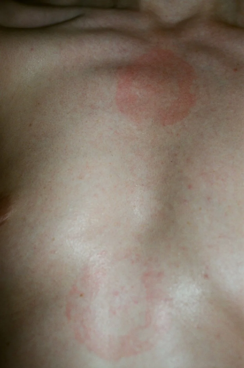 Lina_Scheynius_2021 photographs  - 1 of 1.jpeg