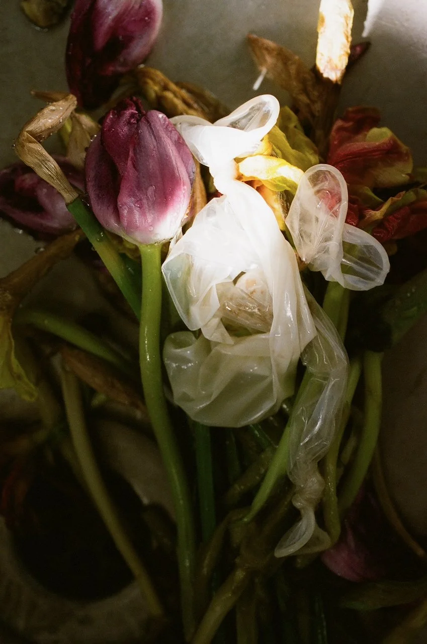 Lina_Scheynius_2019 - 1 (3).jpeg