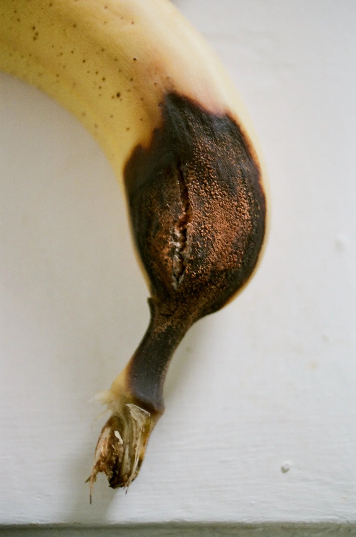 Lina_Scheynius_2022_dad - 6.jpeg