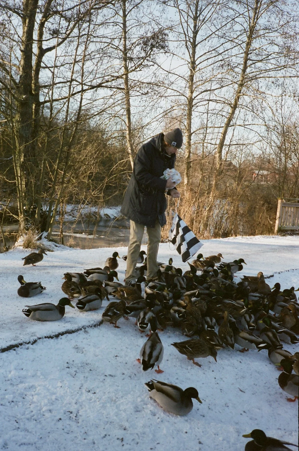 Lina_Scheynius_2022_dad - 17.jpeg