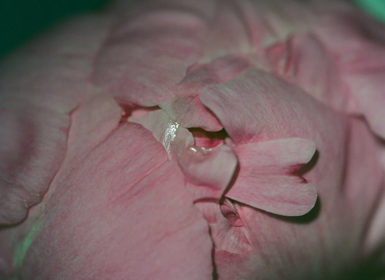 2023 diary  - 8 of 23.jpeg