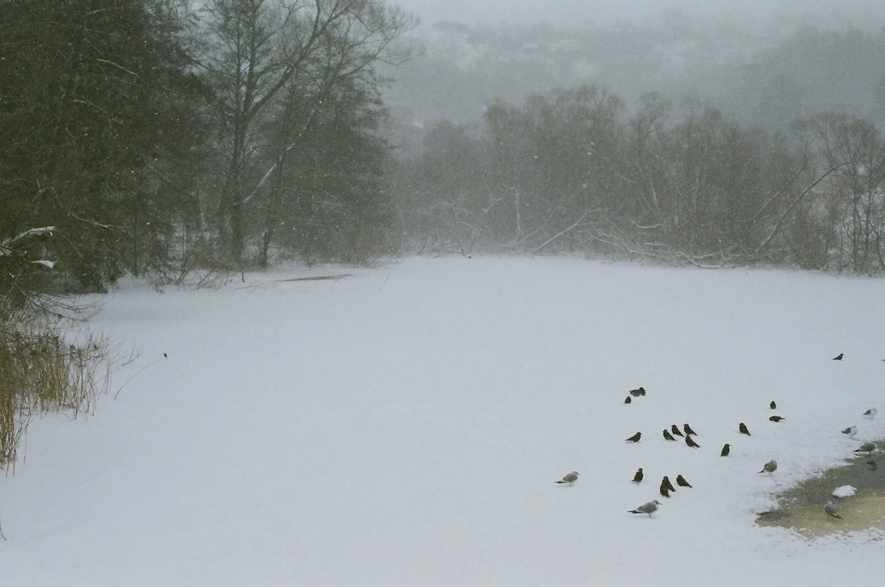 2023 diary  - 14 of 23.jpeg