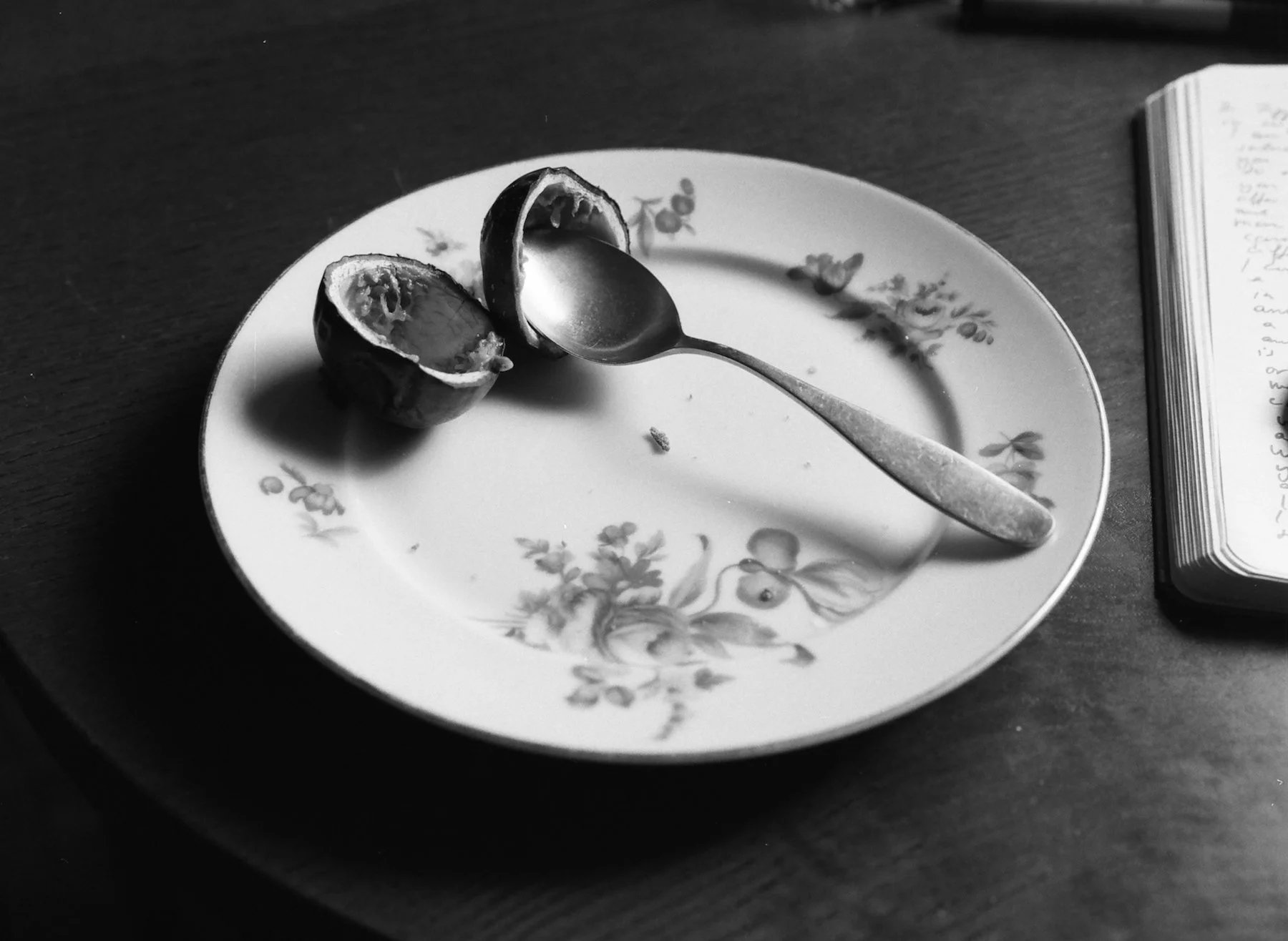 DiaryofanEndingedit - 2 of 24.jpeg