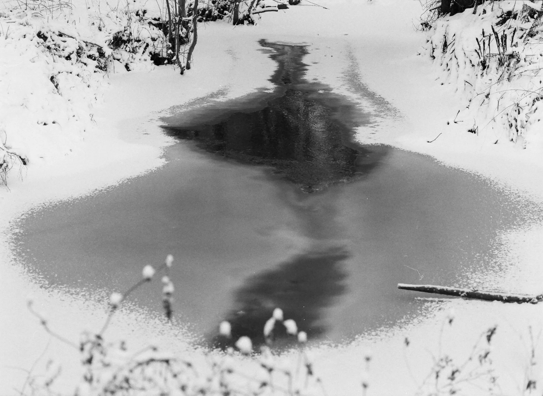 DiaryofanEndingedit - 3 of 24.jpeg