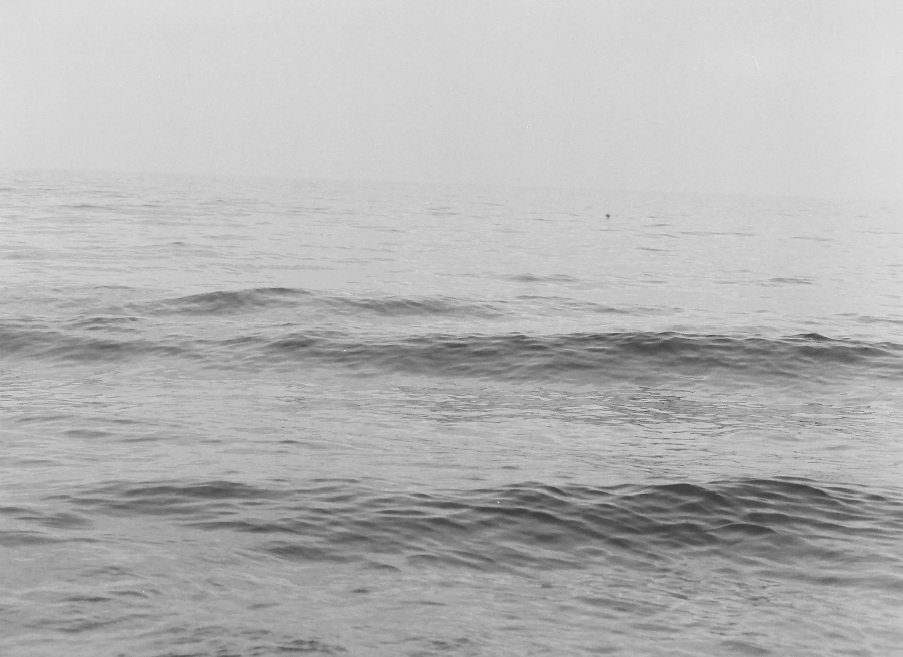 DiaryofanEndingedit - 9 of 24.jpeg