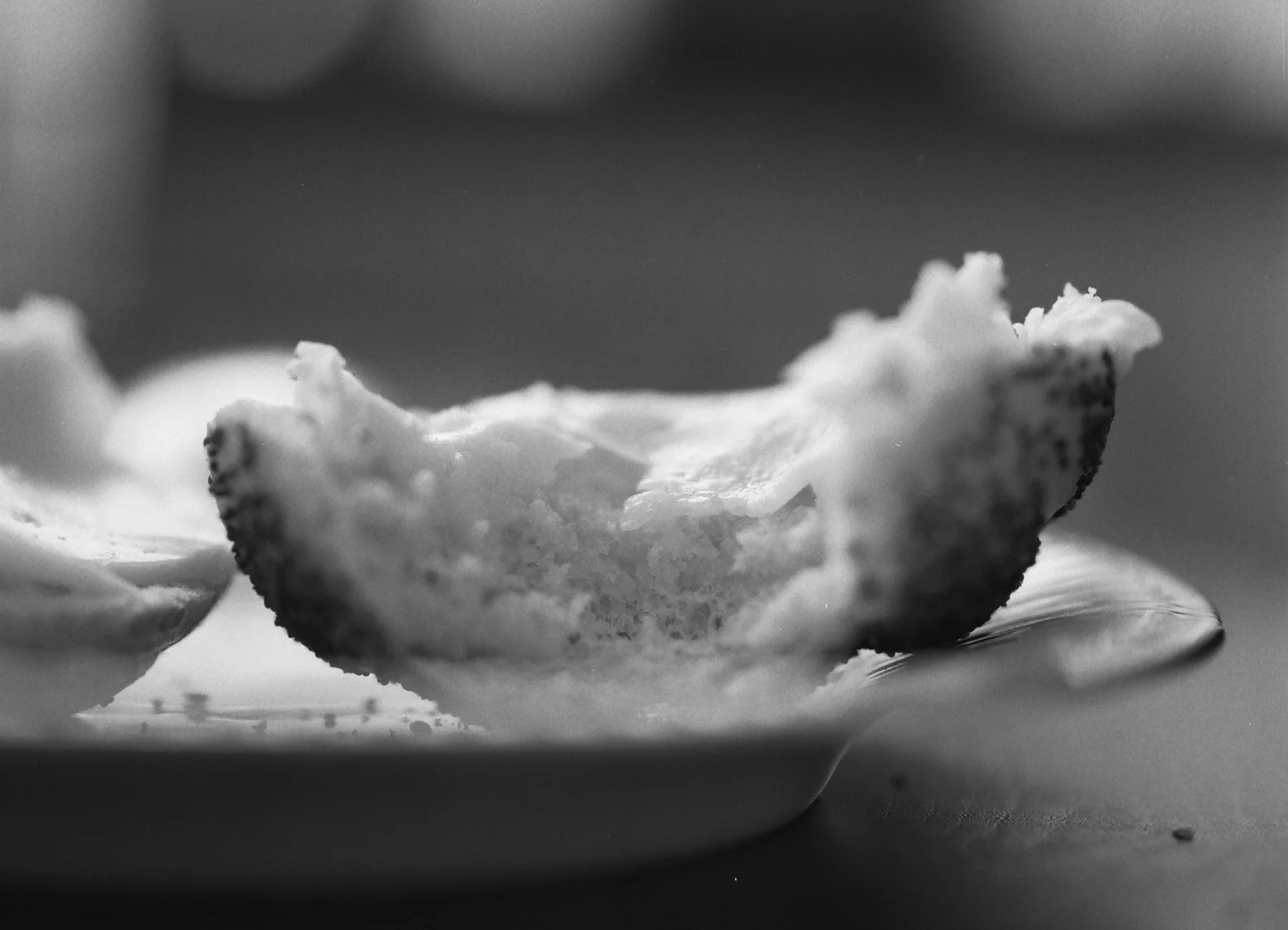 DiaryofanEndingedit - 10 of 24.jpeg