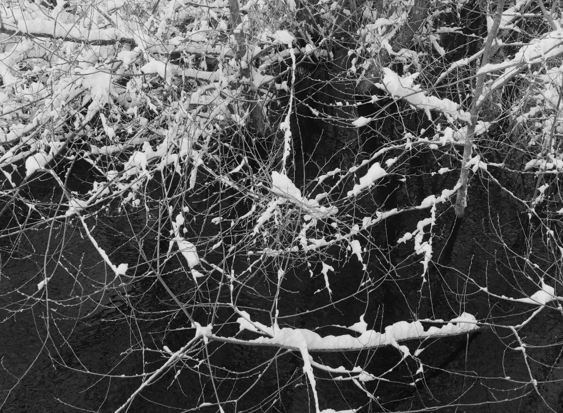 DiaryofanEndingedit - 11 of 24.jpeg