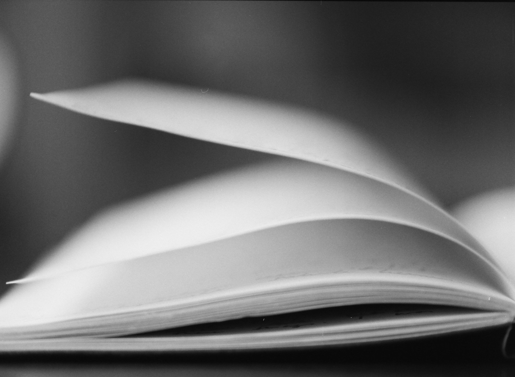 DiaryofanEndingedit - 12 of 24.jpeg