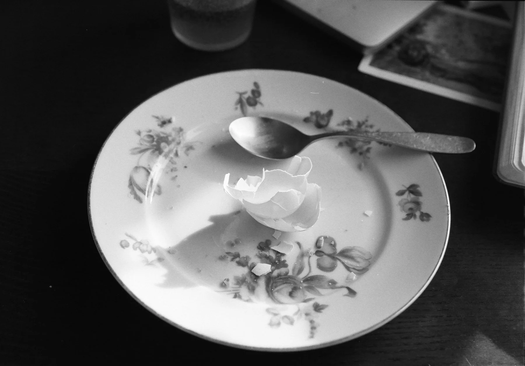 DiaryofanEndingedit - 13 of 24.jpeg