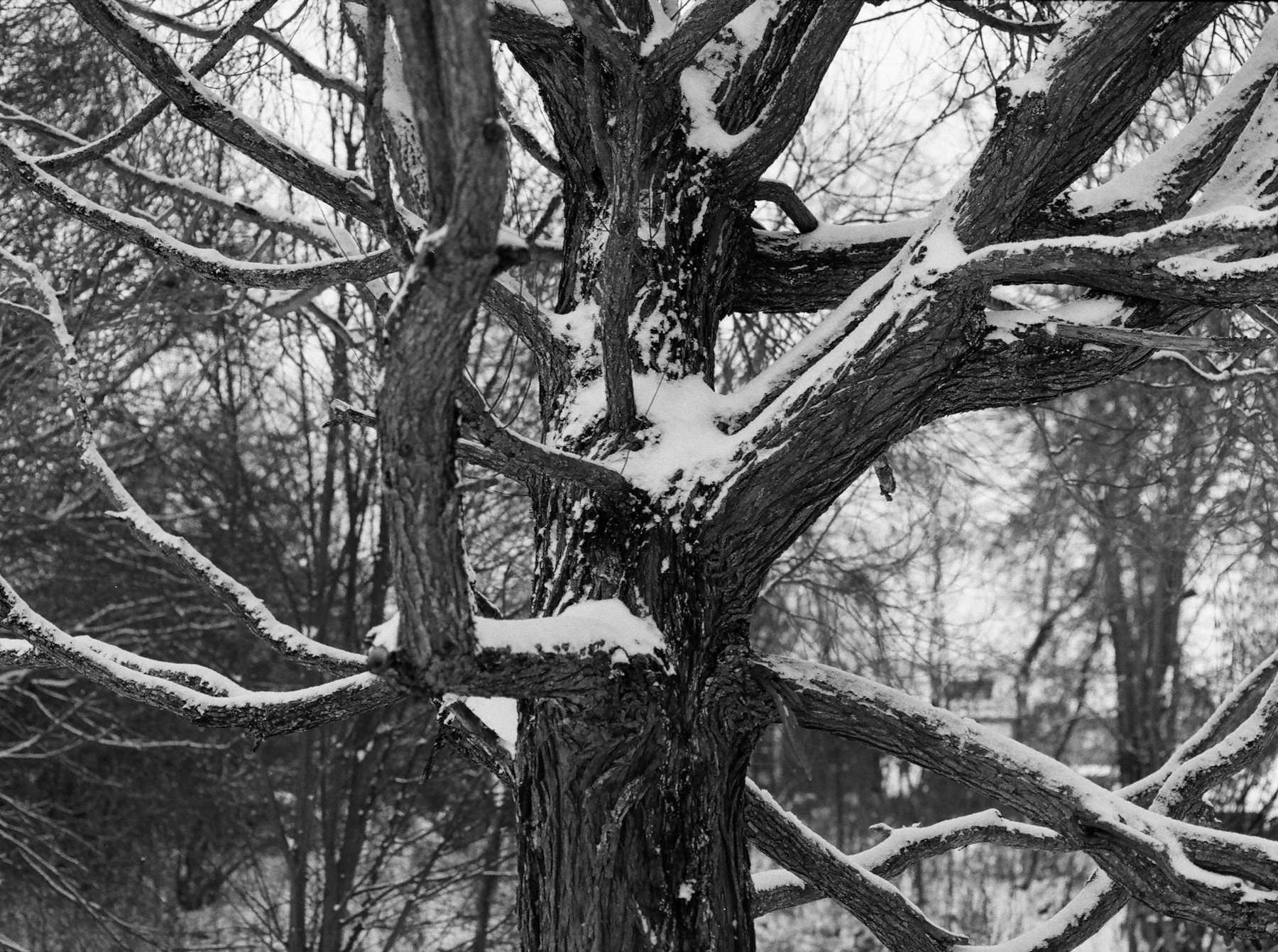 DiaryofanEndingedit - 18 of 24.jpeg