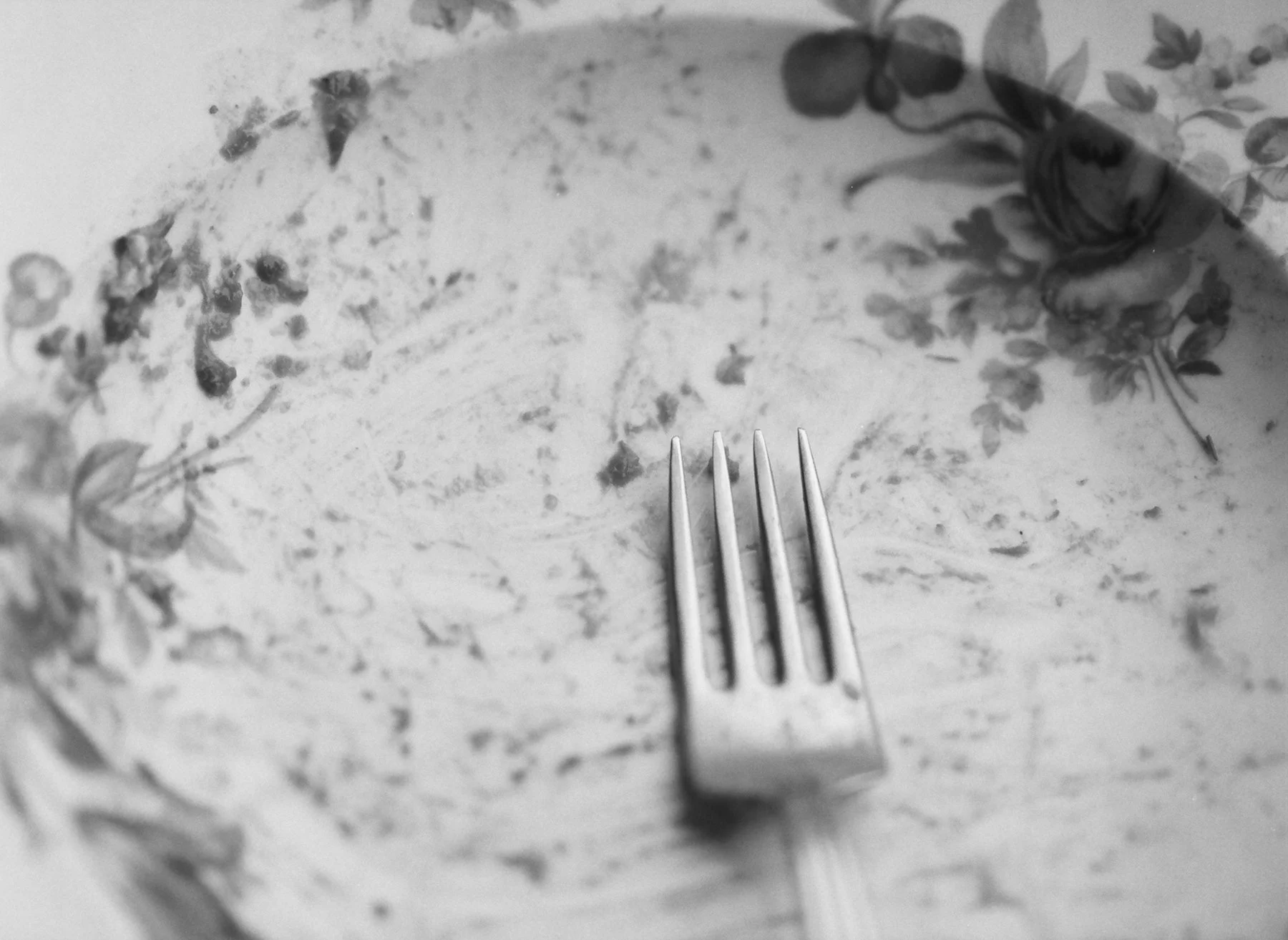 DiaryofanEndingedit - 21 of 24.jpeg