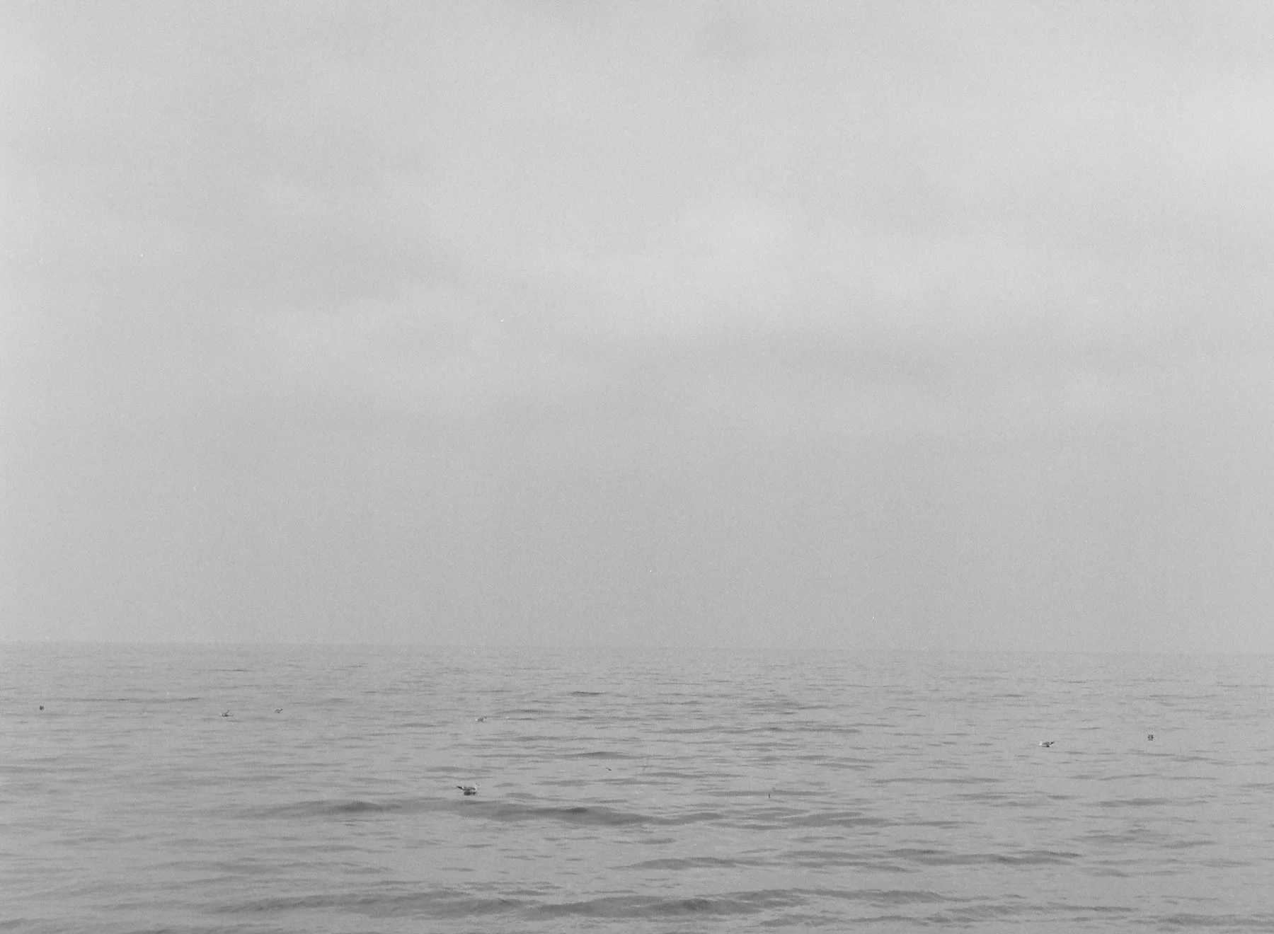 DiaryofanEndingedit - 24 of 24.jpeg