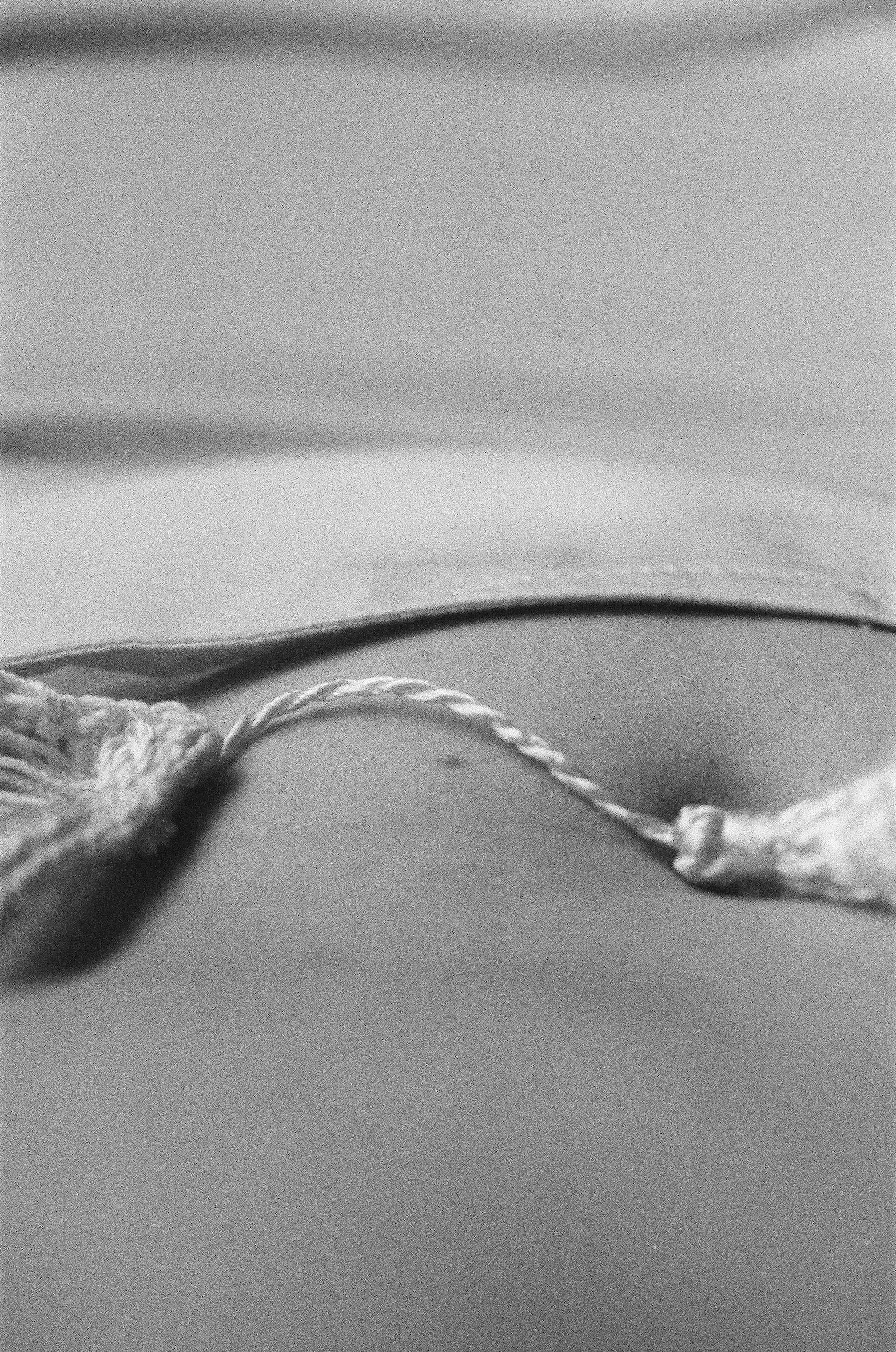 Jil Sander - 1 of 52.jpeg