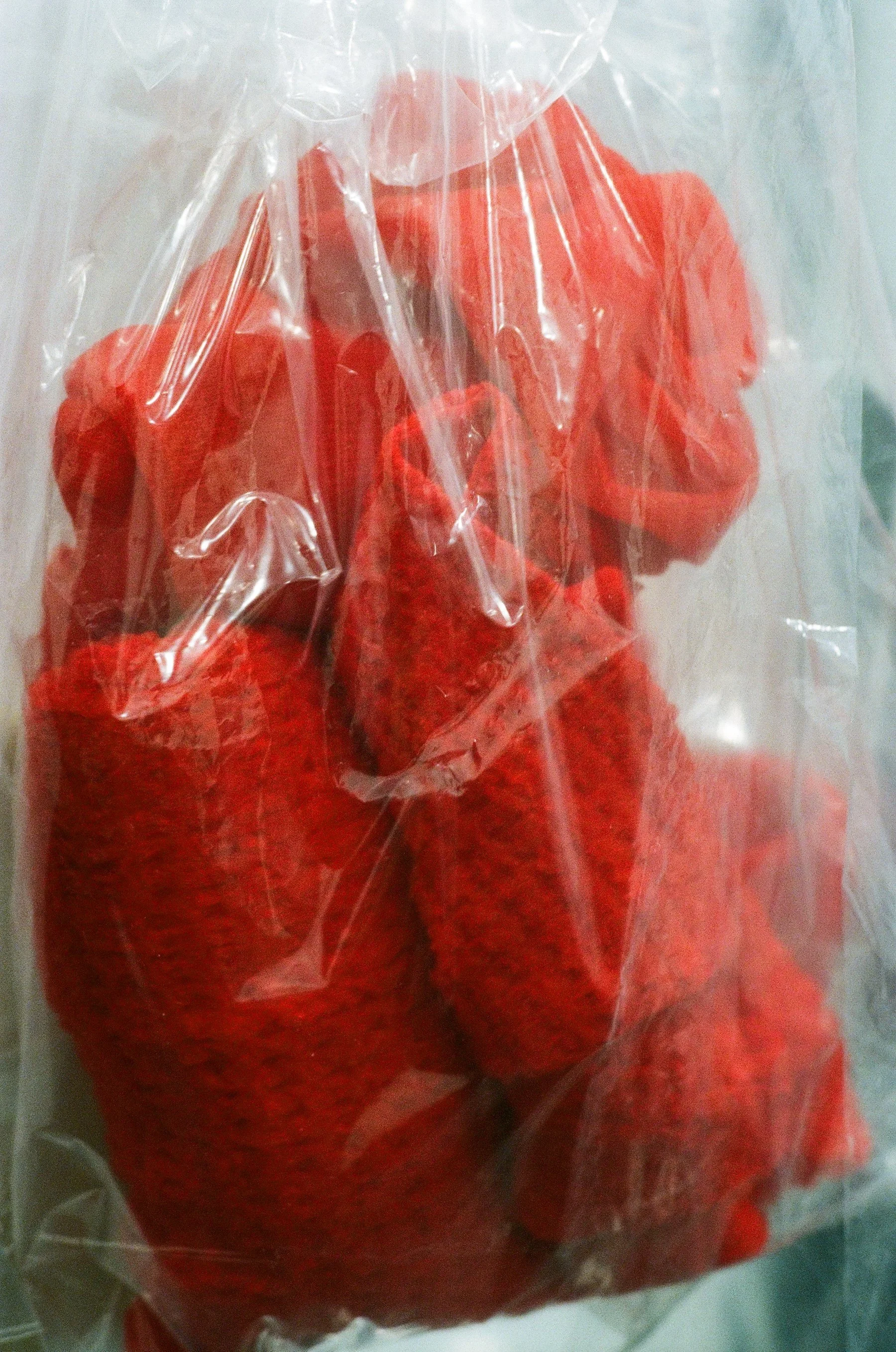 Jil Sander - 13 of 52.jpeg