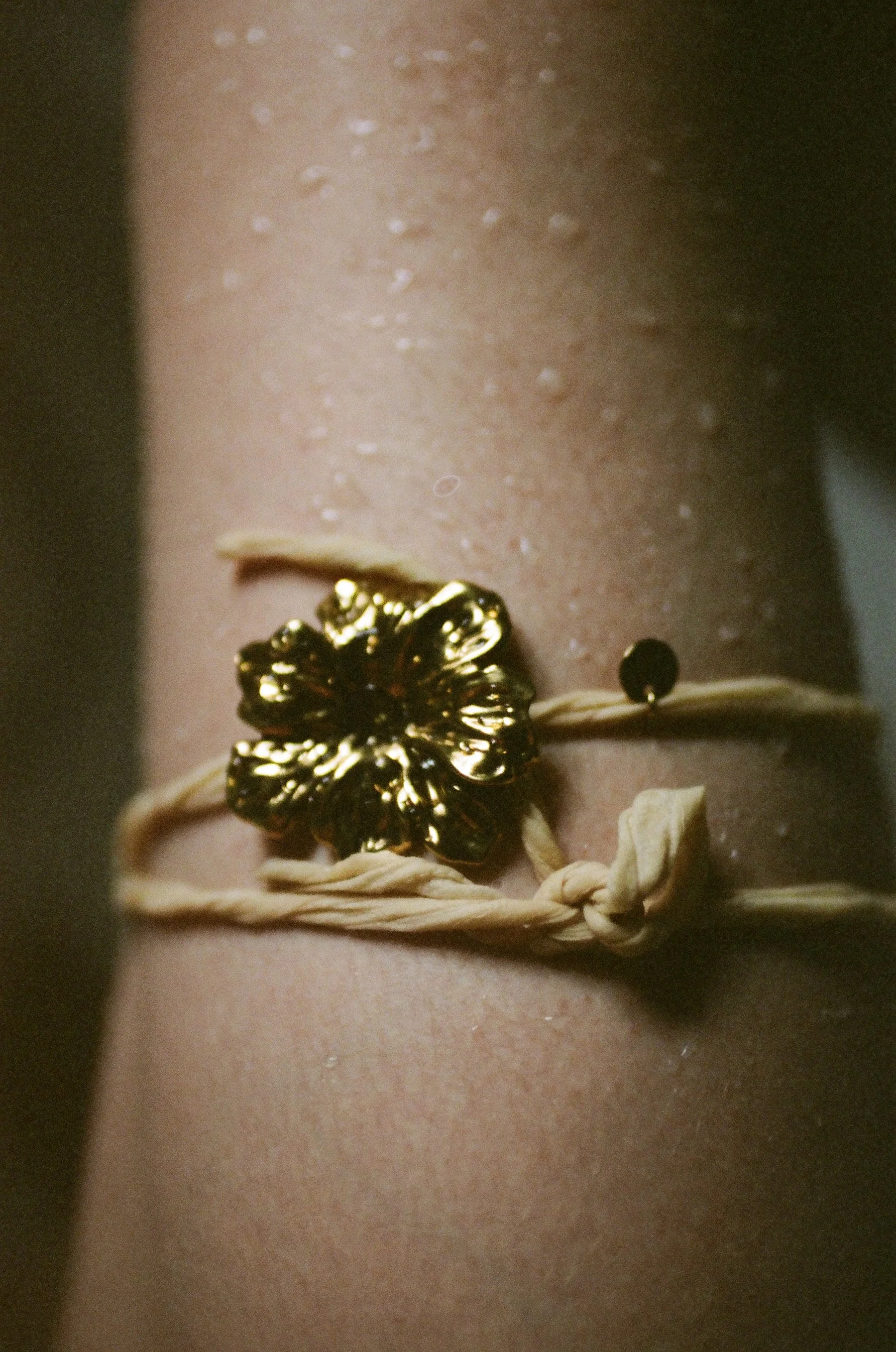 Jil Sander - 21 of 52.jpeg