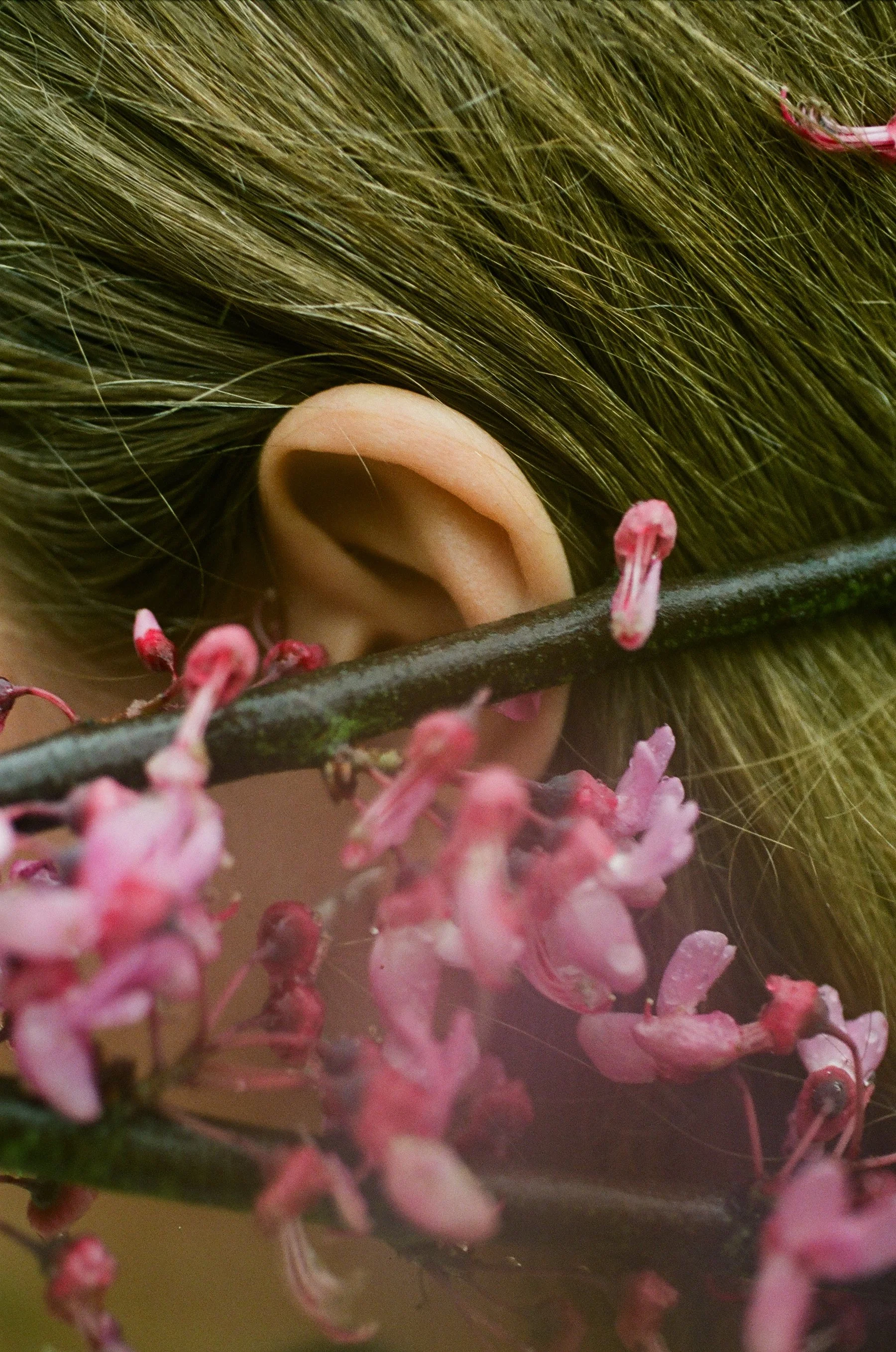 Jil Sander - 34 of 52.jpeg