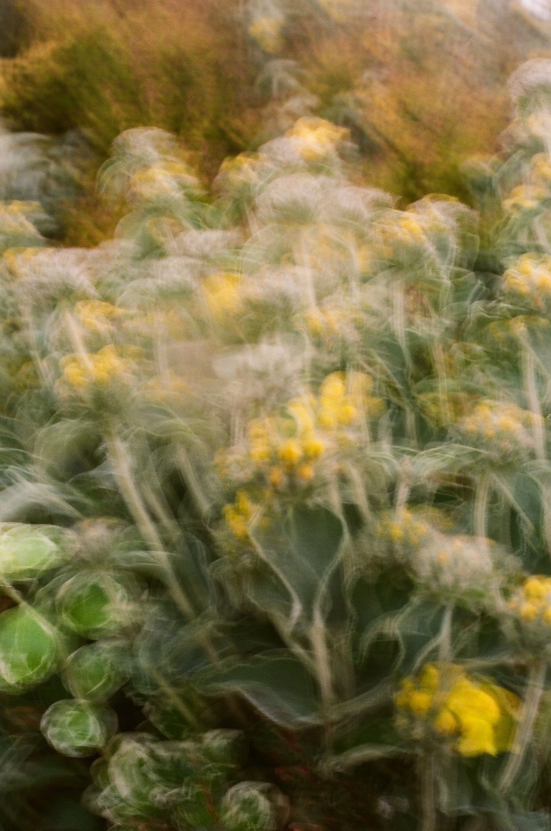 Jil Sander - 44 of 52.jpeg