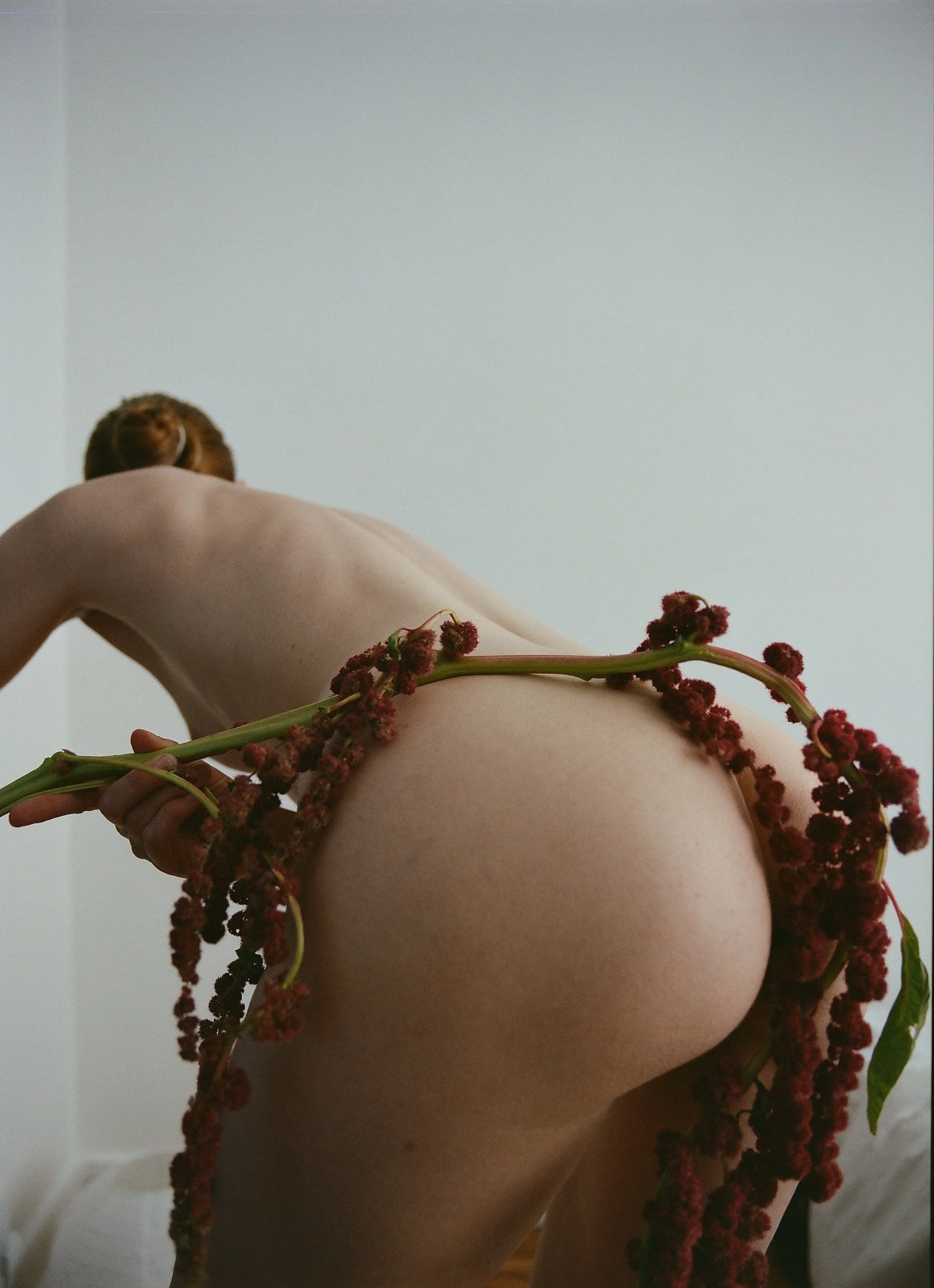 flowers Part 2 - 3 of 29.jpeg