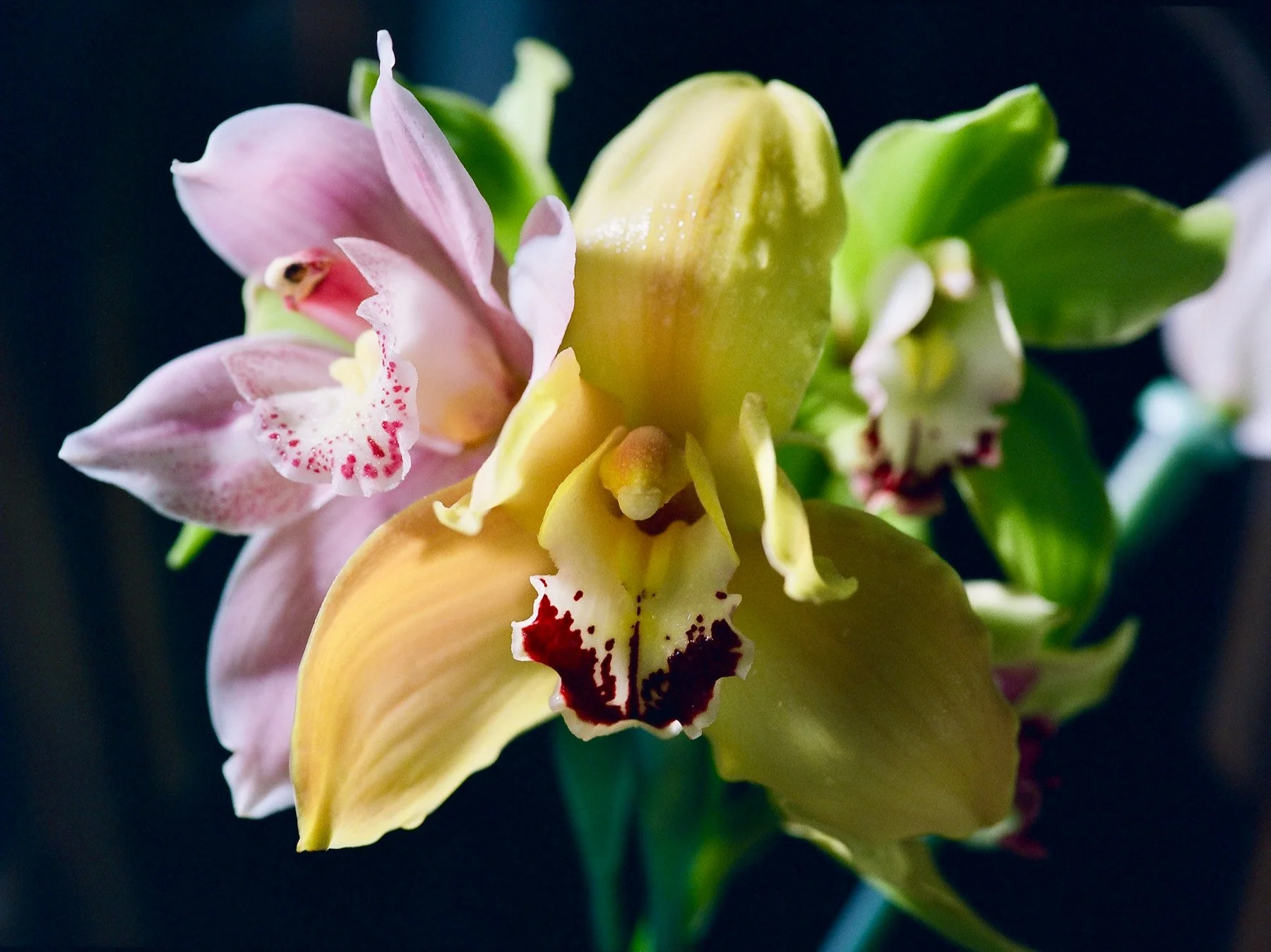 flowers Part 2 - 5 of 29.jpeg