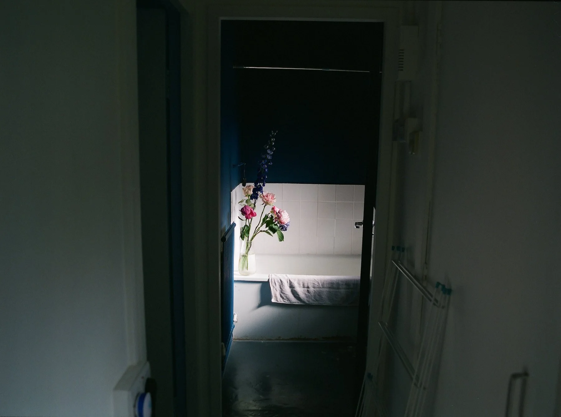 flowers Part 2 - 14 of 29.jpeg