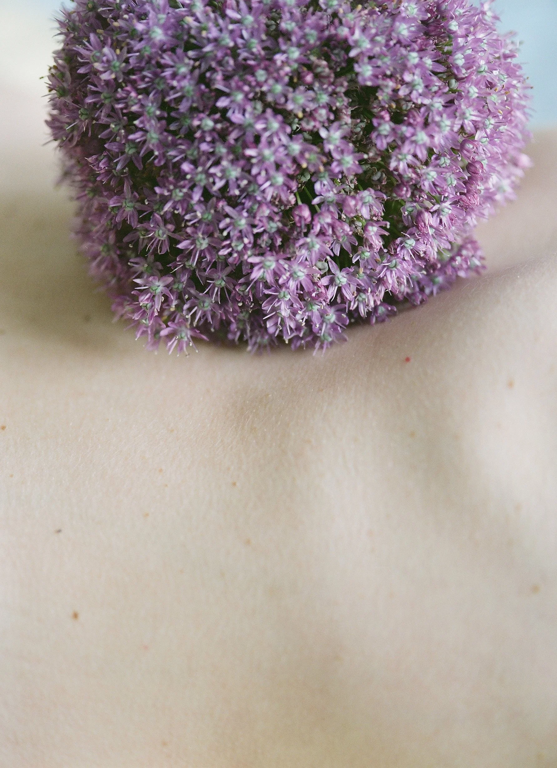 flowers Part 2 - 13 of 29.jpeg