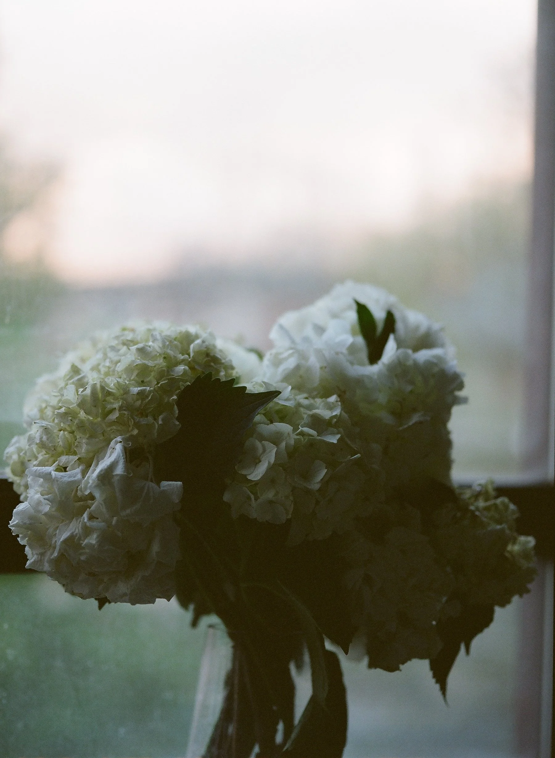 flowers Part 2 - 16 of 29.jpeg