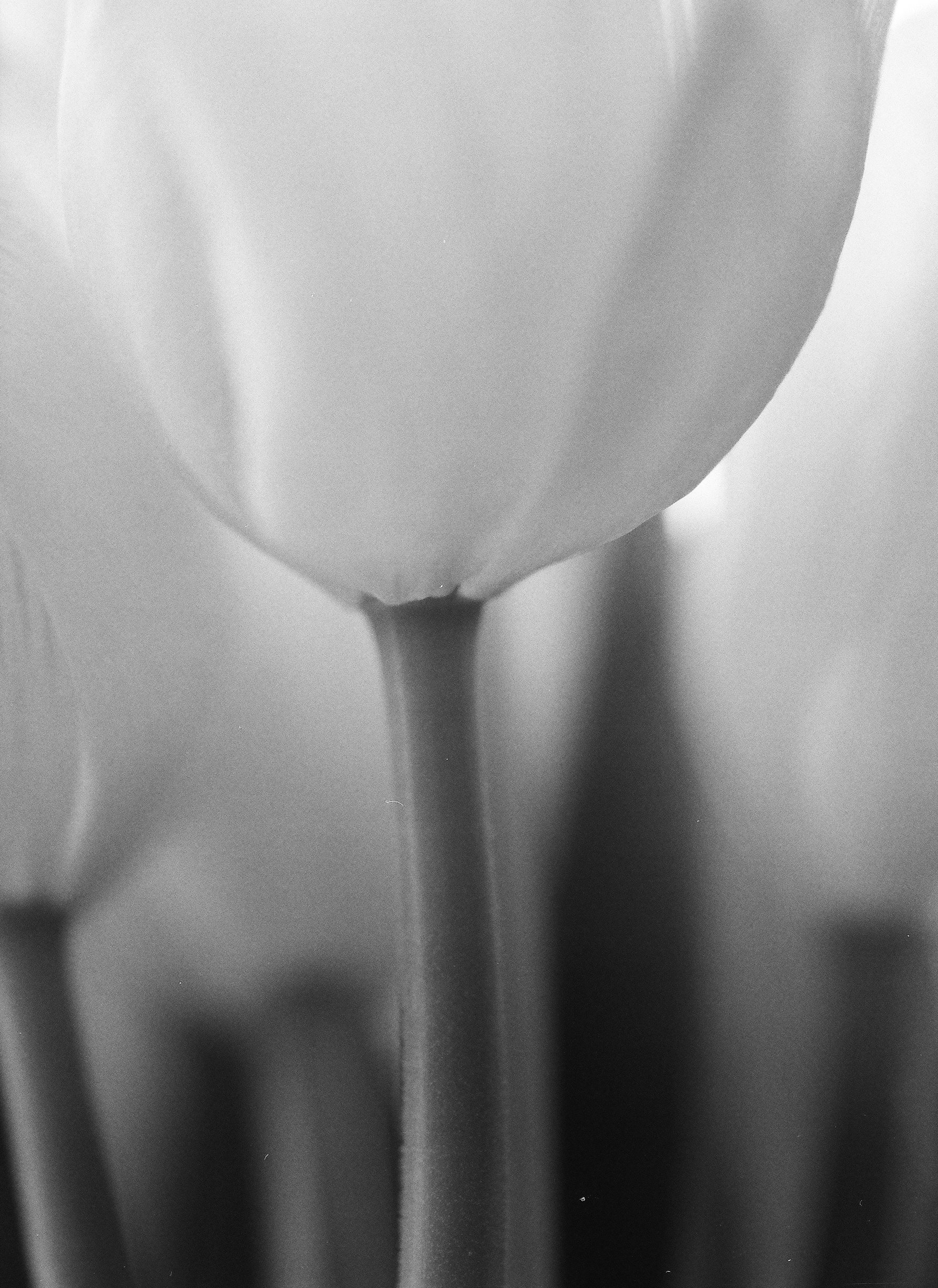 flowers Part 2 - 25 of 29.jpeg