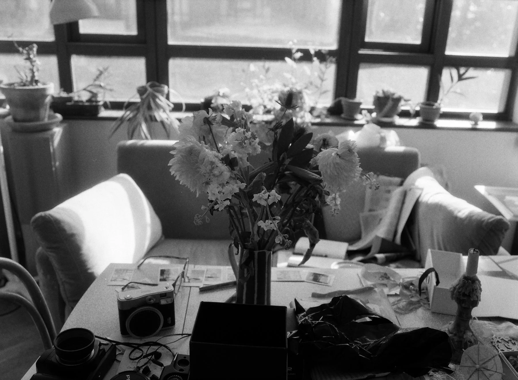 flowers Part 2 - 1 of 2.jpeg