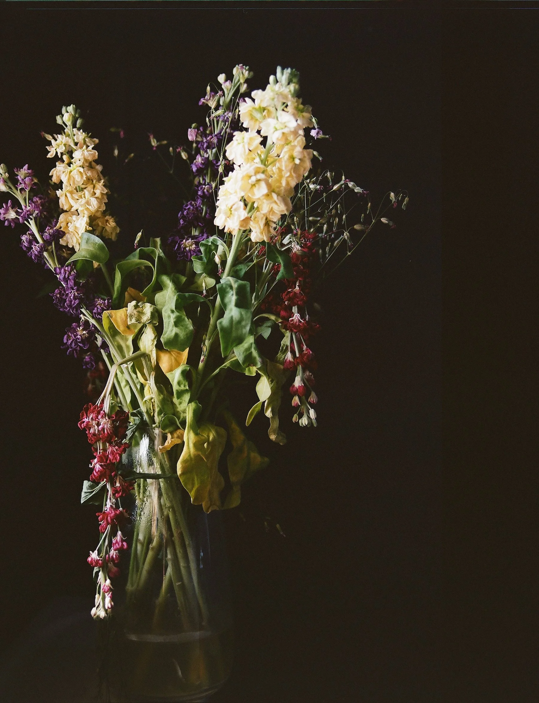 flowers Part 2 - 2 of 2.jpeg