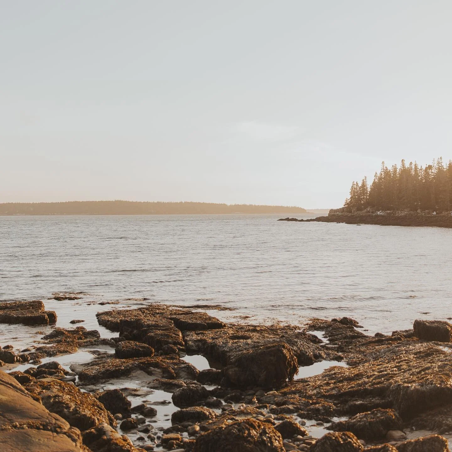 How did you hear about Dark Downeast? 🌲

I asked this question yesterday on Facebook and I was so surprised at the range of answers &mdash; from Google searches to shout outs on other podcasts to grandmas making recommendations, you&rsquo;re finding