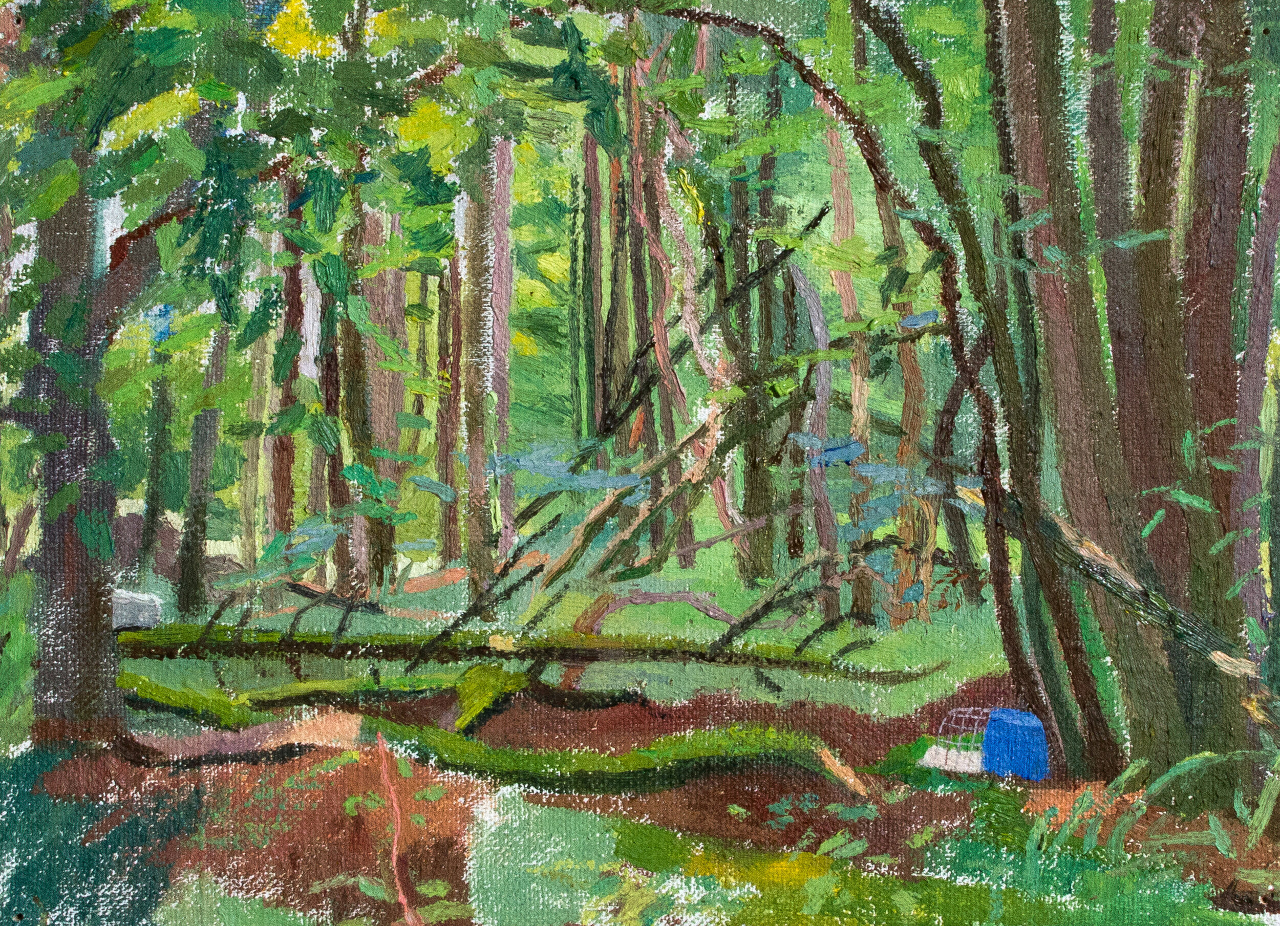 Forest with Traps, Ayrshire