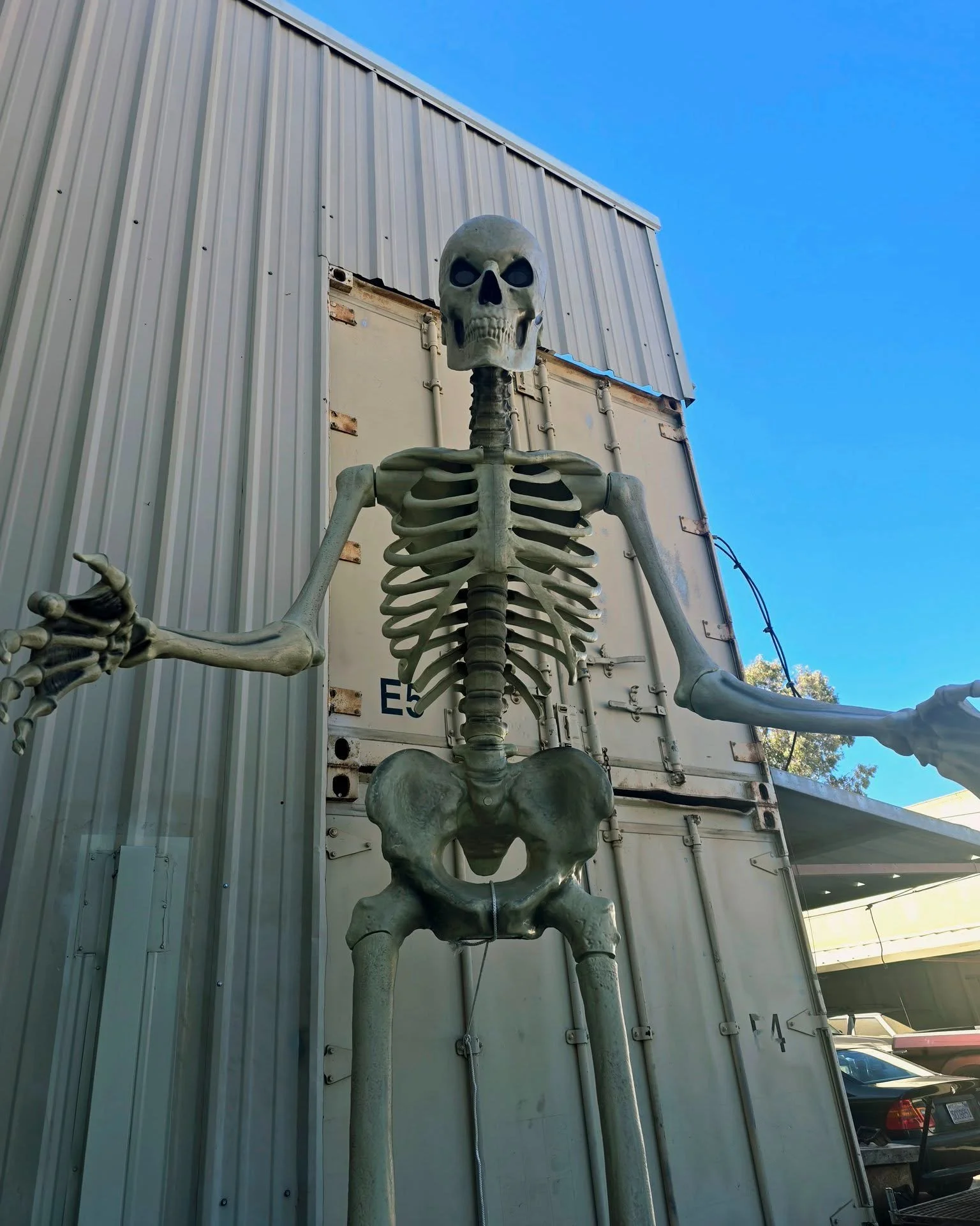 Meet the latest addition to our Thoroughbred Motors team — Rig R. Mortis. Rig is only a temp hire to help greet the customers as the dogs have been slacking lately. We had to dig deep to find him, but we think he'll do a stand-up job. He's very